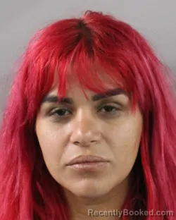 Mugshot of VERONICA NAVARRO FLORES booked in Polk County, Florida on June 22, 2026