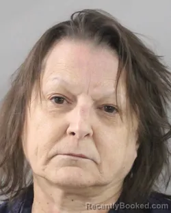 Mugshot of TINA OSTRANDER booked in Polk County, Florida on June 22, 2026