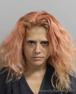 Mugshot of MARISA FOLDS booked in Polk County, Florida on June 22, 2026