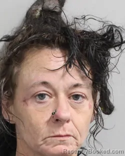 Mugshot of MAGGIE DIETZEL booked in Polk County, Florida on June 23, 2026