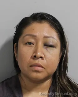 Mugshot of ISABEL OLAYA VILLEGAS booked in Polk County, Florida on June 23, 2026