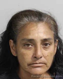Mugshot of CHRISTINA DIAZ booked in Polk County, Florida on June 24, 2026