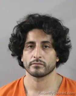 Mugshot of ADOLFO ORELLANA booked in Polk County, Florida on June 24, 2026