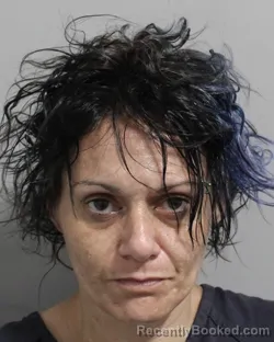 Mugshot of JOSEY OCAIN booked in Polk County, Florida on June 24, 2026
