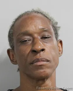 Mugshot of SANTINA DOGAN booked in Polk County, Florida on June 24, 2026