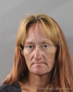 Mugshot of JENNIFER LANGE booked in Polk County, Florida on June 24, 2026