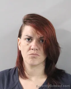 Mugshot of KRISTA ATKINSON booked in Polk County, Florida on June 24, 2026