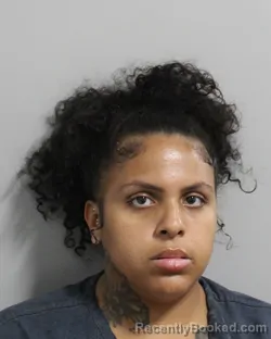Mugshot of MICHELLE CABRAL booked in Polk County, Florida on June 24, 2026