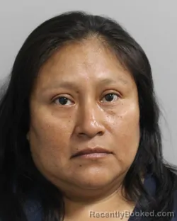 Mugshot of JAZMIN MORALES booked in Polk County, Florida on July 9, 2026