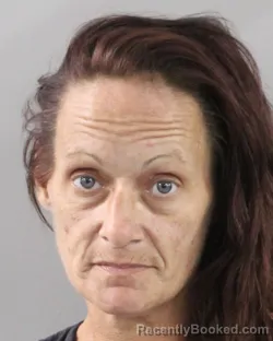 Mugshot of LISA HOWE booked in Polk County, Florida on July 10, 2026