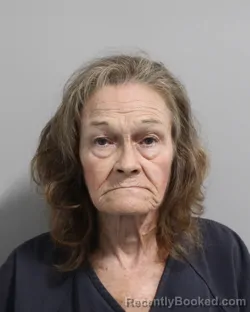 Mugshot of DIANA BOYLE booked in Polk County, Florida on July 11, 2026