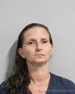 Mugshot of JAMIE EISENHOUR booked in Polk County, Florida on July 11, 2026