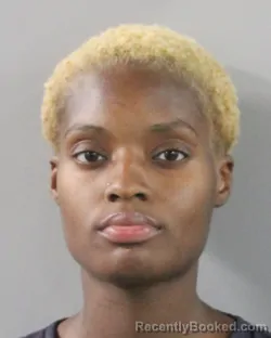 Mugshot of DEONDRIA HENRY booked in Polk County, Florida on July 12, 2026