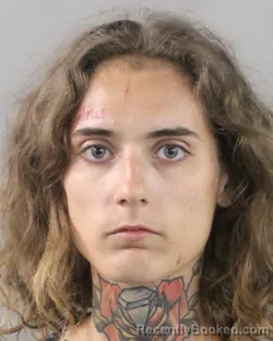 Mugshot of KAYLEY WHITE booked in Polk County, Florida on July 12, 2026