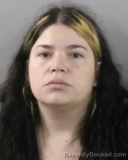 Mugshot of TAMARA TORRES BONET booked in Polk County, Florida on July 13, 2026