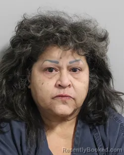 Mugshot of APOLONIA VARGAS booked in Polk County, Florida on July 13, 2026
