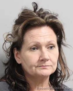 Mugshot of Brandy Wilson booked in Polk County, Florida on July 14, 2026