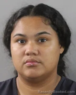 Booking photo from Polk County, Florida