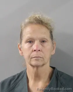 Mugshot of Vicki Manuel booked in Polk County, Florida on July 14, 2026