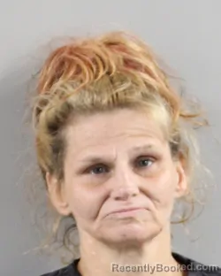 Mugshot of Nina Crosby booked in Polk County, Florida on July 15, 2026