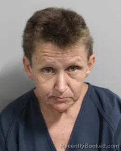 Mugshot of Cathy Hamilton booked in Polk County, Florida on July 16, 2026