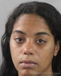 Mugshot of Erica Johnson booked in Polk County, Florida on July 16, 2026