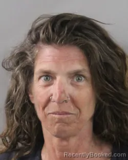 Mugshot of Heidi Norum booked in Polk County, Florida on July 16, 2026
