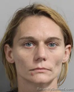 Mugshot of Kristy Chewning booked in Polk County, Florida on July 16, 2026