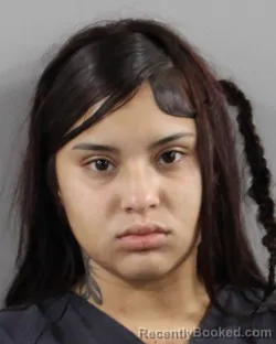 Mugshot of Amiah Garcia booked in Polk County, Florida on July 17, 2026