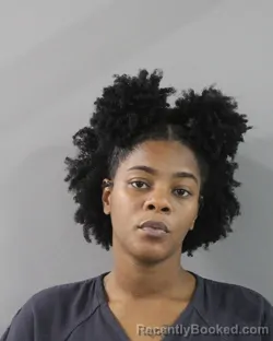 Mugshot of Whitney Mcintosh booked in Polk County, Florida on July 17, 2026