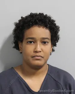 Mugshot of Luz Recarey Almonte booked in Polk County, Florida on July 18, 2026