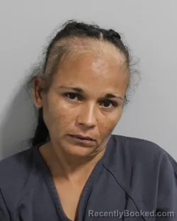Mugshot of Luz Mariani Santiago booked in Polk County, Florida on July 20, 2026