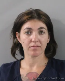 Mugshot of ASHLEY EDISON booked in Polk County, Florida on July 20, 2026