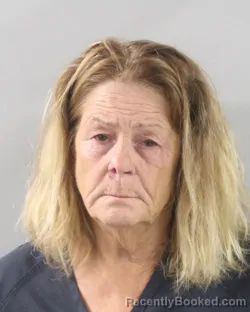 Mugshot of Joanne Reed booked in Polk County, Florida on July 21, 2026