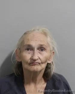 Mugshot of Gail Brooks booked in Polk County, Florida on July 21, 2026