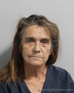 Mugshot of Karen Bolin booked in Polk County, Florida on July 21, 2026