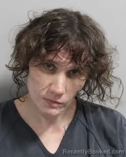 Mugshot of Samantha Haney booked in Polk County, Florida on July 21, 2026