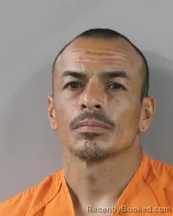 Mugshot of Jose Zapata booked in Polk County, Florida on July 22, 2026