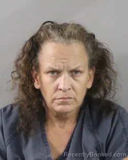 Mugshot of Julie Norris booked in Polk County, Florida on July 22, 2026