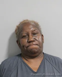 Mugshot of Lisa Mcqueen booked in Polk County, Florida on July 23, 2026