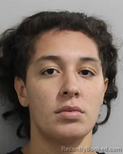 Mugshot of Yesenia Tardis booked in Polk County, Florida on July 24, 2026
