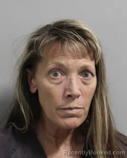 Mugshot of Joanne Denney booked in Polk County, Florida on July 25, 2026