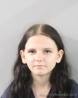 Mugshot of Nevaeh Hoogerwerff booked in Polk County, Florida on July 25, 2026