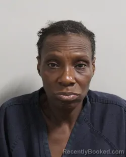 Mugshot of Stephanie Mcmillian booked in Polk County, Florida on July 27, 2026