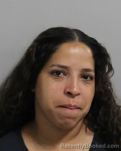 Mugshot of Esther Garcia Francisco booked in Polk County, Florida on July 27, 2026