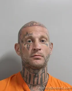 Mugshot of Anthony Schwebel booked in Polk County, Florida on July 27, 2026