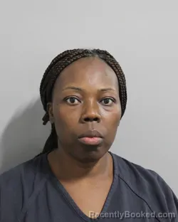 Mugshot of Celine Figaro booked in Polk County, Florida on July 28, 2026