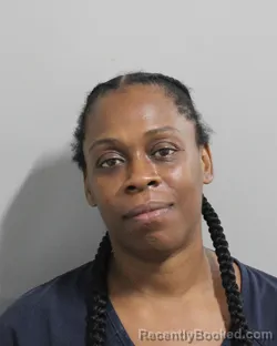 Mugshot of Jerica Davis booked in Polk County, Florida on July 28, 2026