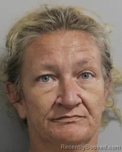 Mugshot of Chassidy Lewis booked in Polk County, Florida on July 28, 2026