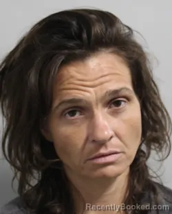 Mugshot of Chelsie Albritton booked in Polk County, Florida on July 29, 2026